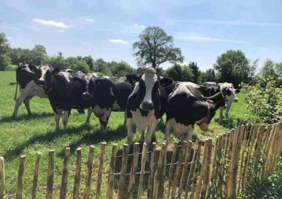 Hoogzand Statige Boerderijwoning Met Vrij Uitzicht En Tuin 빌라 외부 사진